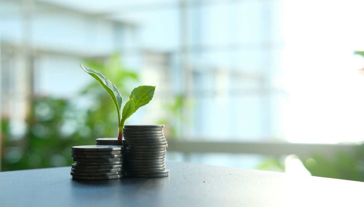 A green plant sprouting from a stack of coins